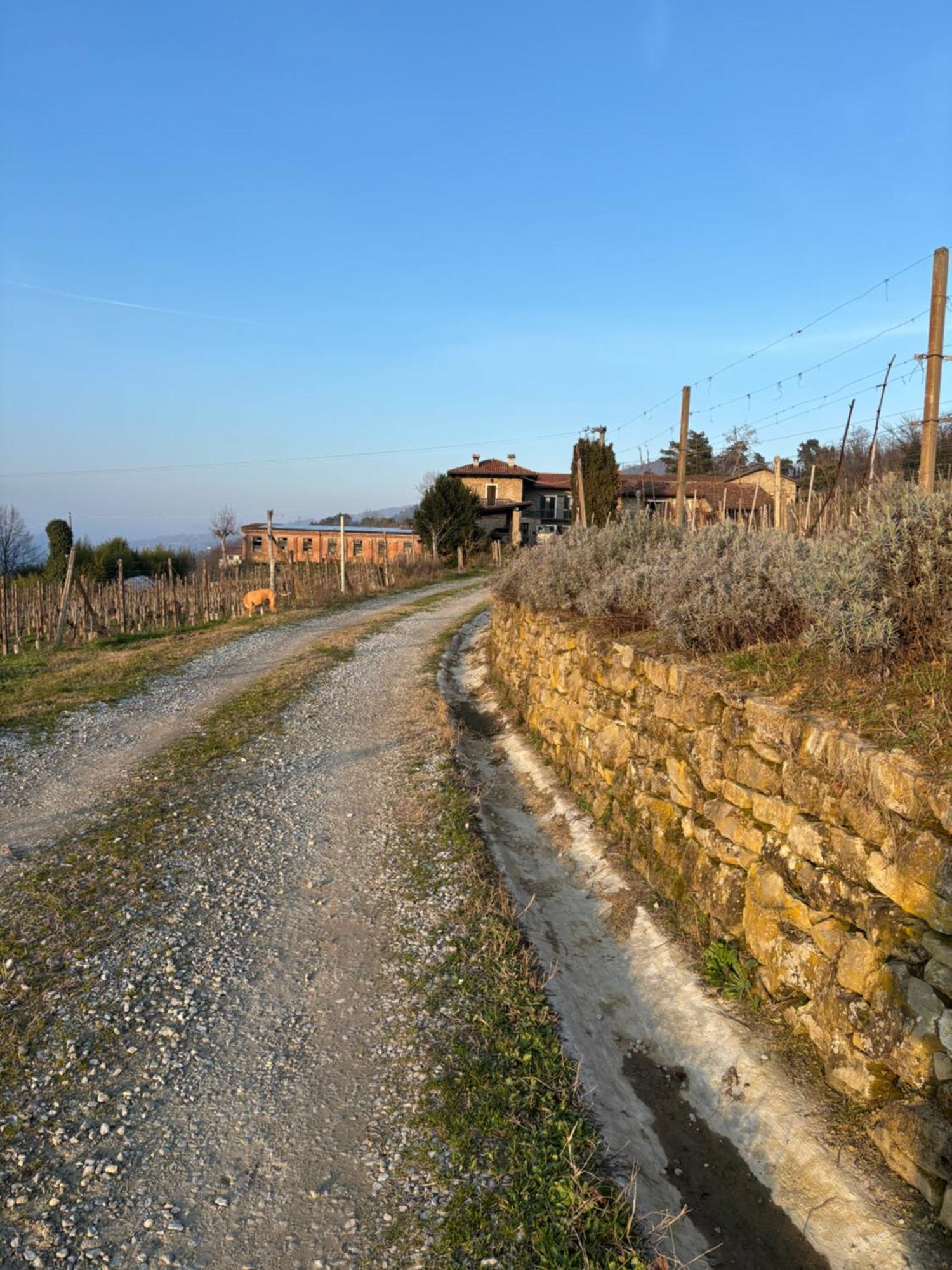Agriturismo Tenuta San Giuseppe Cossano Belbo Екстер'єр фото