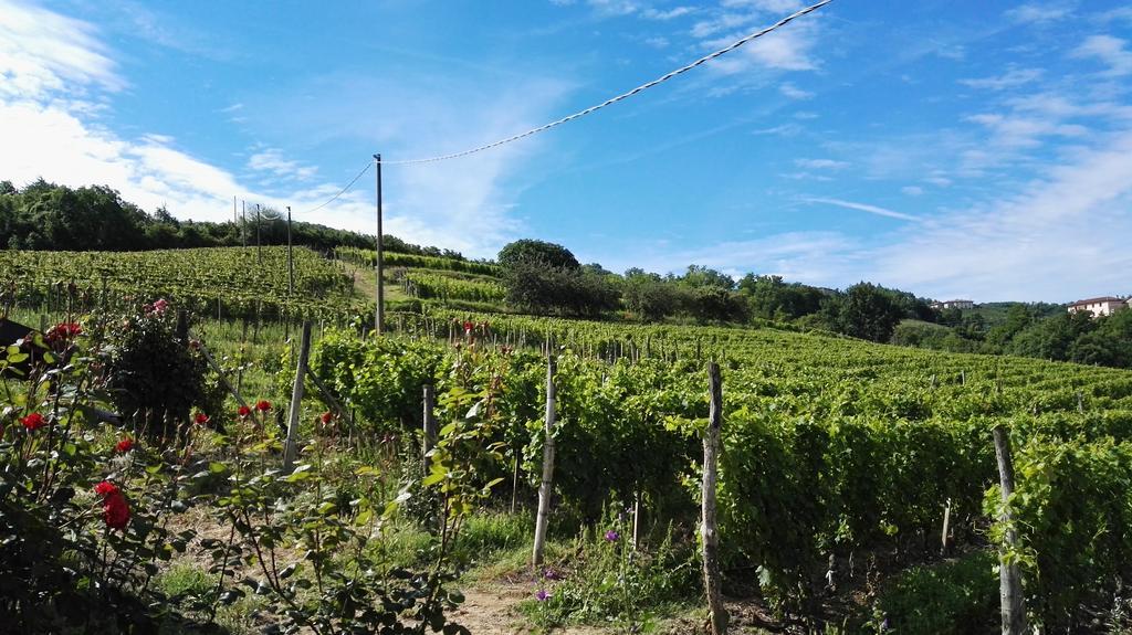 Agriturismo Tenuta San Giuseppe Cossano Belbo Екстер'єр фото